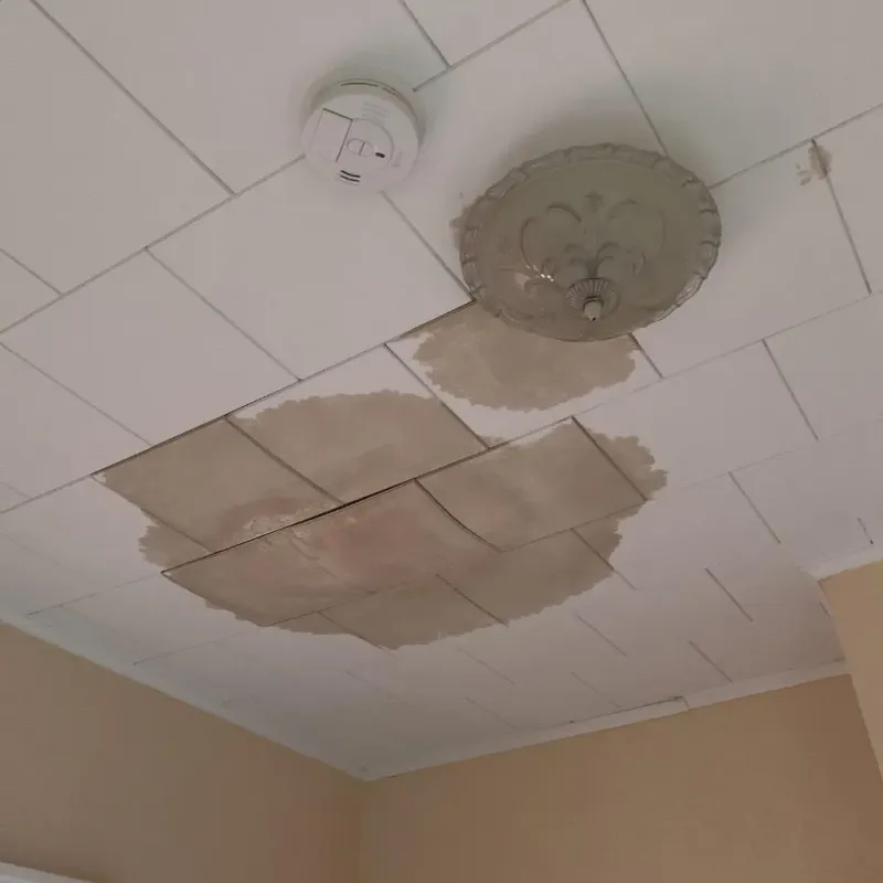 Ceiling Water Damage Repair in Philadelphia, NY