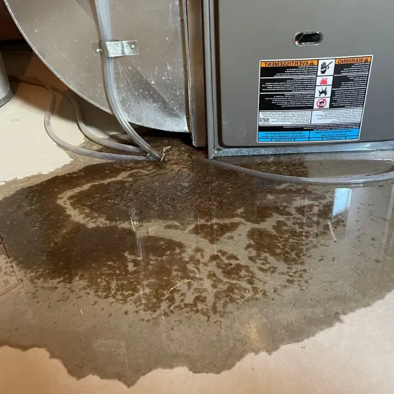 Pipe Burst and Leak Restoration in Philadelphia, NY